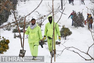تفریحات برفی در پارک پردیسان تهران 25