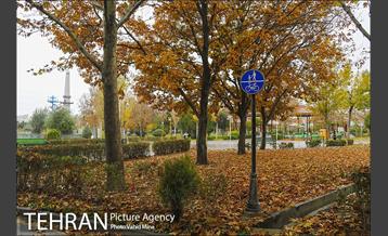 پاییز در بوستان رازی 7