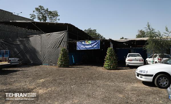 مرکز عرضه دام بهداشتی به مناسبت عید قربان 54