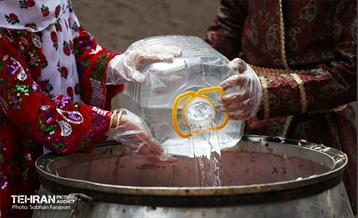 نوزدهمین جشنواره گل و گلاب تهران  14