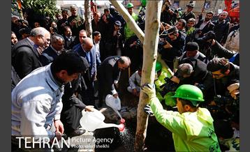 مراسم احیای درختان خیابان ولیعصر (عج) 12