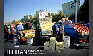 میوه فروشان خیابانی 11