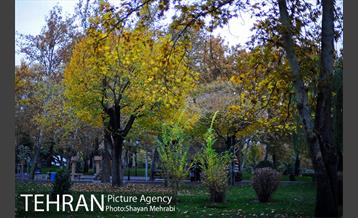 پاییز در بوستان ملت 32