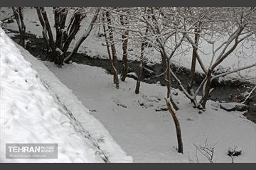 بارش برف زمستانی در تهران 23