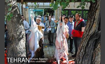 بازار فروش دام در محله طرشت به مناسبت عید قربان 27