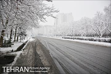 بارش برف زمستانی در تهران-2 14