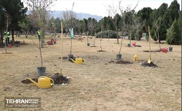 آیین پدران آسمانی  19