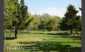 روز طبیعت متفاوت شهر تهران-1 44