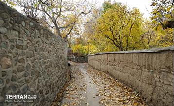 طبیعت پاییزی کوچه باغ‌های محله کن 1