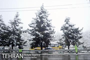 بارش برف زمستانی در تهران 1
