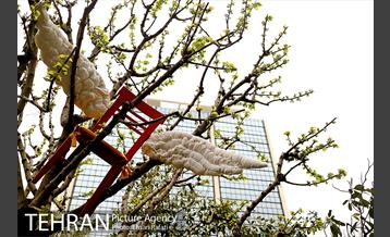 اکران هنرهای محیطی نوروزی در بلوارکشاورز 5