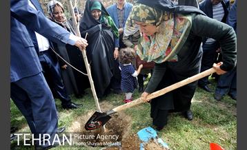 مراسم درختکاری به مناسبت روز مادر 41