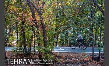 بوستان جنگلی چیتگر 35