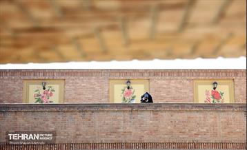 تور فستیوال عکاسی «طهران قدیم» 18