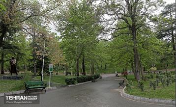 بارش باران بهاری در تهران - 2 25