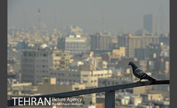 آلودگی هوای پایتخت 18