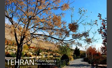 آبشار رنگارنگ 23