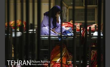 شبگردی اصحاب رسانه در منطقه 4 شهرداری تهران 16