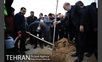 آیین کاشت درخت ایثار و امنیت 23