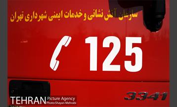 همایش و نمایشگاه حمایت از رونق تولید ملی در حوزه تجهیزات ایمنی و آتش نشانی 38