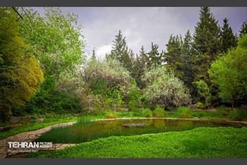 باغ گیاه‌شناسی 50