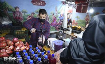 یازدهمین جشنواره صد دانه یاقوت 6