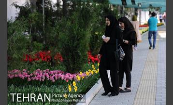 پیاده راه لاله مادران 27