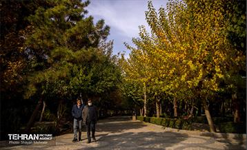 سمفونی رنگ های پاییزی - پارک لاله 22