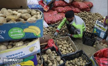 تره‌بار یلدایی 50