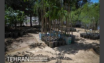 آیین افتتاحیه سه طرح مدیریت پسماند در منطقه ۵