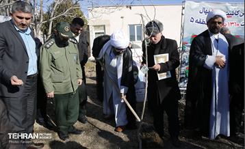 آیین کاشت 1310 نهال در منطقه 5 16