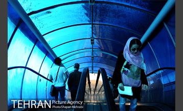 شهرنگار؛ پل سیدخندان 7