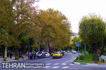 پاییز بوستان لاله 36