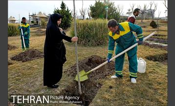 روز درختکاری در گنبد مینا 2