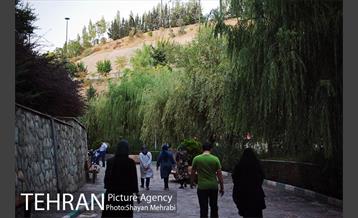 بوستان نهج البلاغه (فاز١) 22