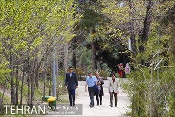 بوستان طالقانی 6