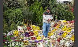 بازار گل و گیاه غرب تهران در آستانه نوروز 22