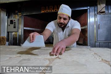 خرید نان سالم 14