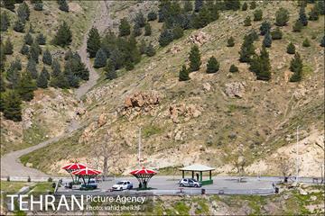 بوستان جنگلی کوهسار 29