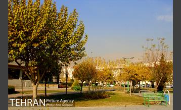 بوستان بنفشه 5