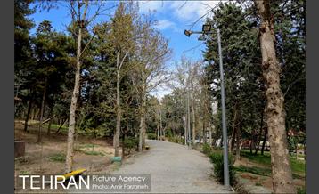 حال و هوای پایتخت در اولین روز بهار 10