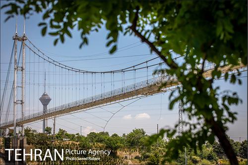 پل معلق بوستان نهج البلاغه 5