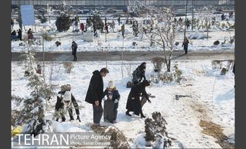 جشنواره مجسمه های برفی 4