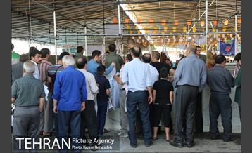 عرضه دام زنده در منطقه 19 شهرداری تهران 6