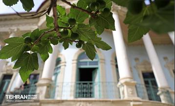 به بهانه روز جهانی بناها و محوطه های تاریخی 24