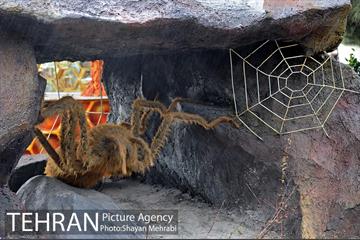 پارک حشرات غول پیکر 44