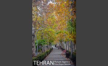 طبیعت پاییزی بوستان لاله 17