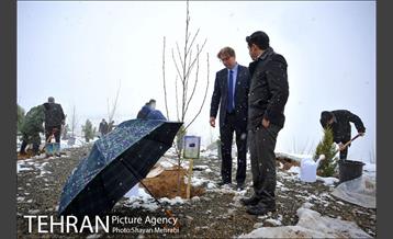 مراسم روز درختکاری با حضور شهردار تهران و رئیس مجلس 33