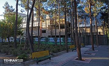 بازدید کمیسیون برنامه و بودجه شورای شهر از پروژه‌های منطقه ۱۷ 37