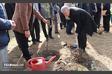 آیین پدران آسمانی  4